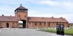Brzezinka - 68. rocznica wyzwolenia Auschwitz-Birkenau