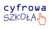 Pilotażowy program 